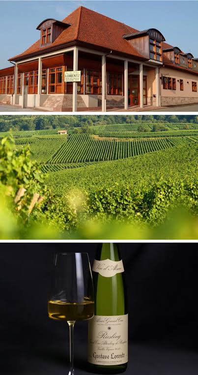 gustave-lorentz-winery-entrance-bergheim